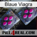 Blaue Viagra 01